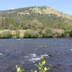 IMG_7691 (May 28, 2024)